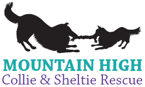 Mountain High Collie And Sheltie Rescue