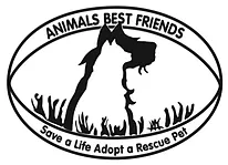 Animals Best Friends