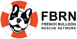 French Bulldog Rescue Network