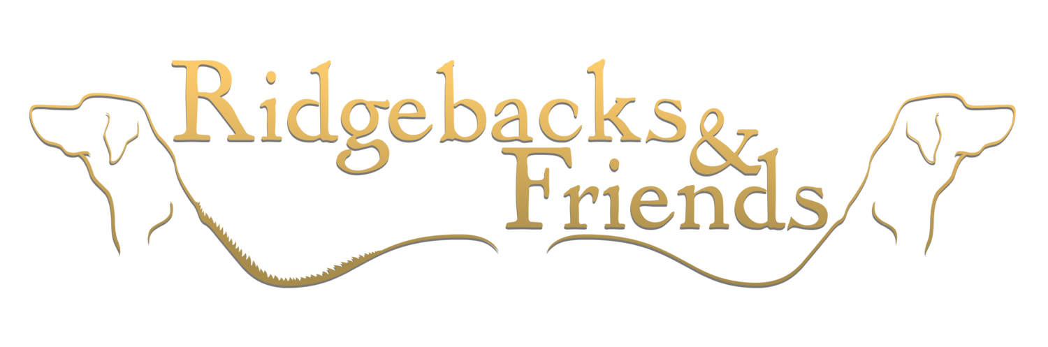 Ridgebacks And Friends