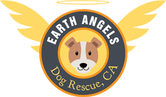 Earth Angels Rescue