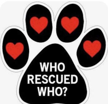 Who Rescued Who Animal Rescue