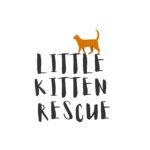 Little Kitten Rescue