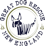 Great Dog Rescue New England