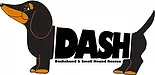 Dash Rescue