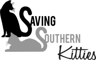 Saving Southern Kitties
