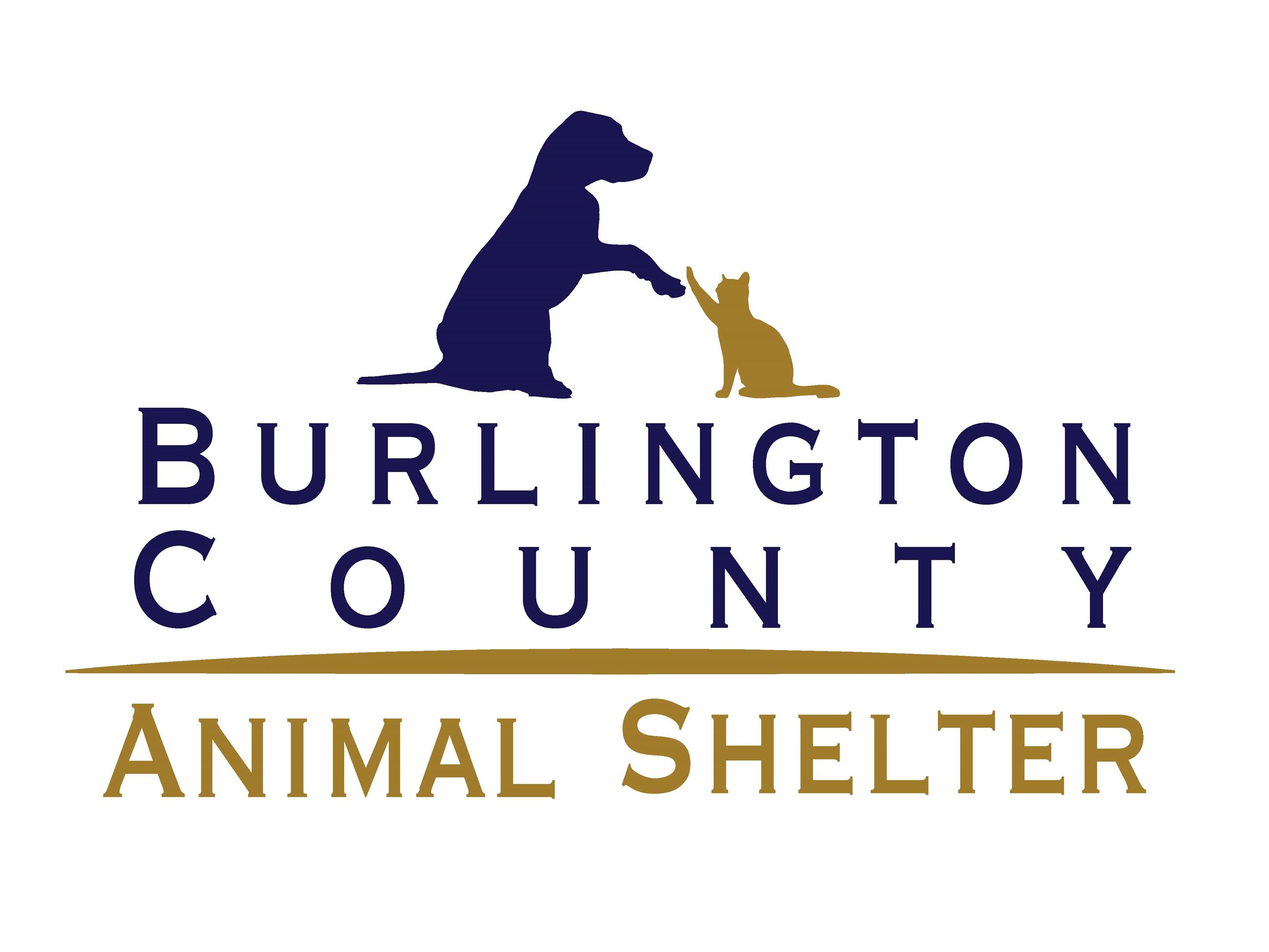 Burlington County Animal Shelter