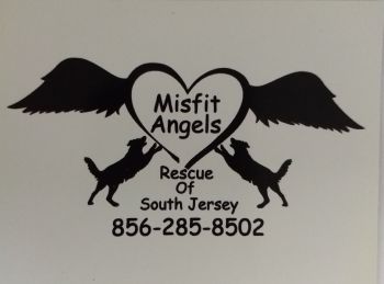Misfit Angels Of South Jersey