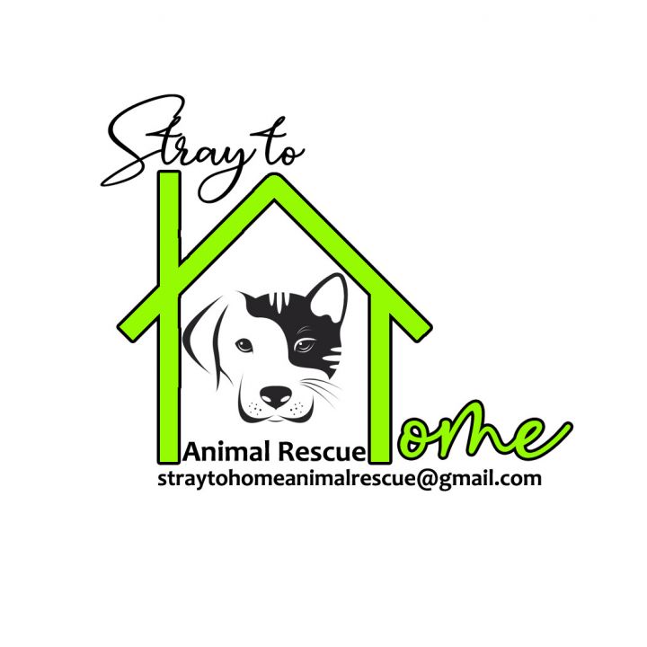 Stray To Home Animal Rescue Inc