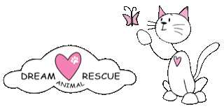 D.r.e.a.m. Animal Rescue