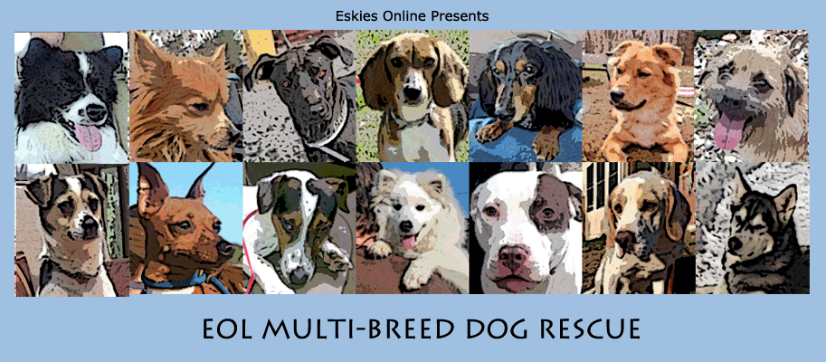 Eol Multibreed Dog Rescue