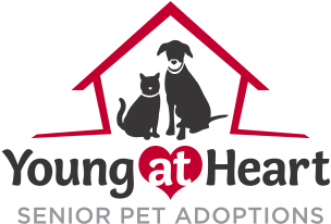 Young At Heart Pet Rescue