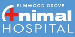 Elmwood-grove Animal Hospital - Adoptions