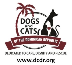 Dogs And Cats Of The Dominican Republic