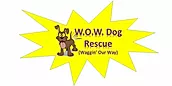 W.o.w Dog Rescue
