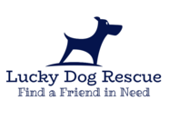 Lucky Dog Small Breed Rescue
