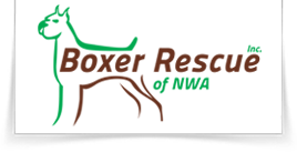 Boxer Rescue Nwa, Inc.