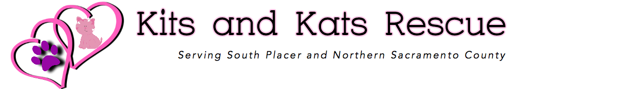 Kits & Kats Rescue