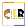 Chicagoland Lab Rescue