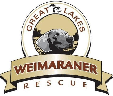 Great Lakes Weimaraner Rescue, Inc