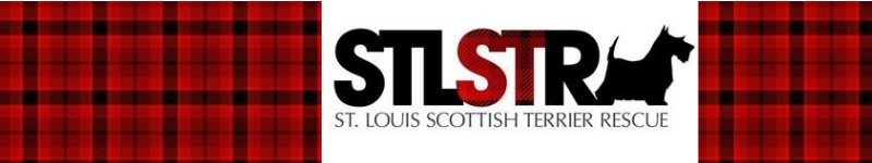 Saint Louis Scottish Terrier Rescue
