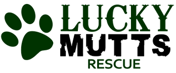 Lucky Mutts Rescue