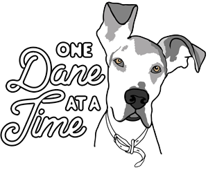 One Dane At A Time, Inc.