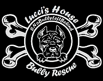 Lucci's House Bully Rescue