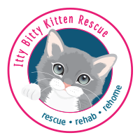 Itty Bitty Kitten Rescue