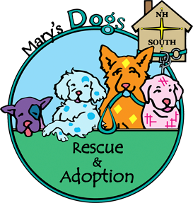 Mary's Dogs Rescue & Adoption