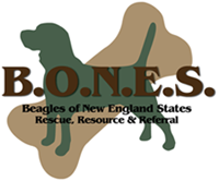 Beagles Of New England States Inc. (b.o.n.e.s.), Inc.