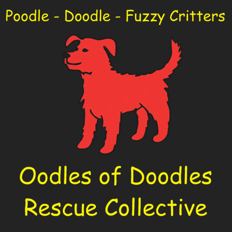 Oodles Of Doodles Rescue Collective