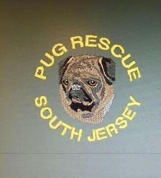Pug Rescue Adoption Assistance Of South Jersey