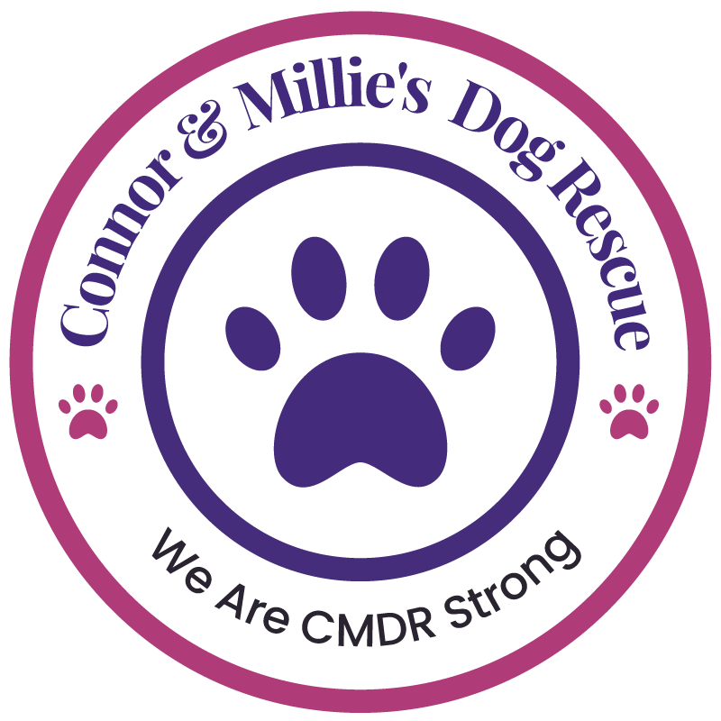Connor And Millie's Dog Rescue