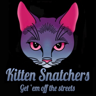 Kitten Snatchers