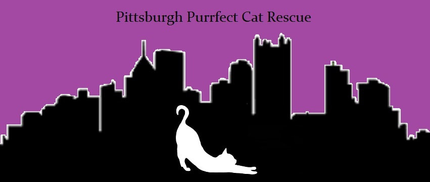 Pittsburgh Purrfect Cat Rescue