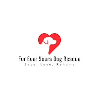 Fur Ever Yours Dog Rescue