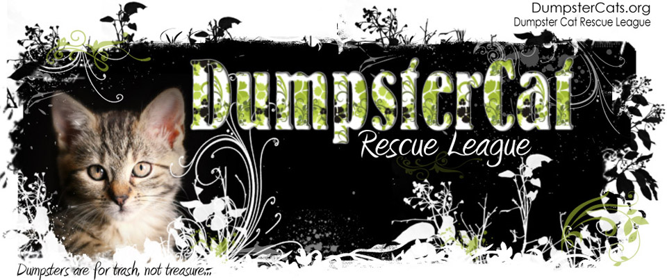 Dumpster Cats Rescue League