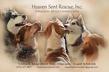 Heaven Sent Rescue, Inc.