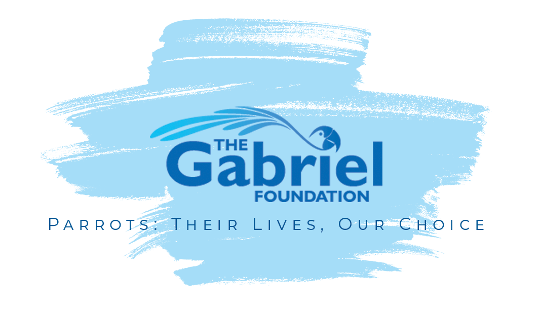 The Gabriel Foundation