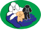 Poodle Rescue Connecticut