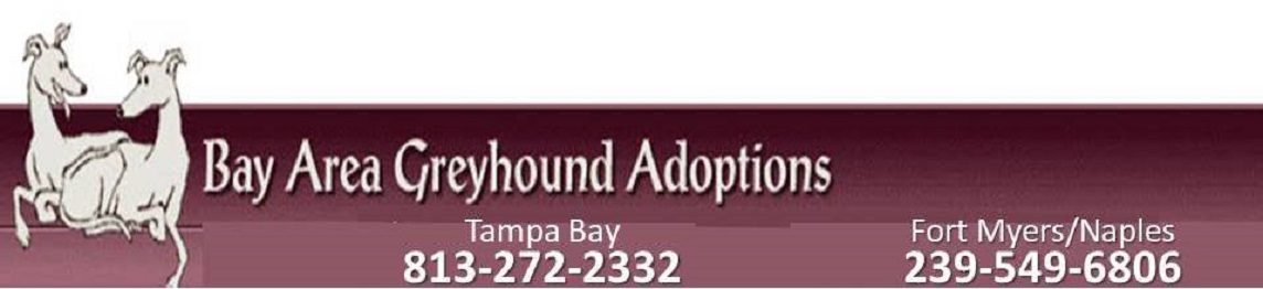 Bay Area Greyhound Adoptions, Inc