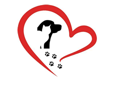 S.a.f.e. Pet Rescue, Inc. - Dog Adoptions