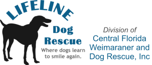 Lifeline Dog Rescue