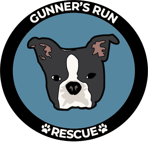 Gunners Run Rescue