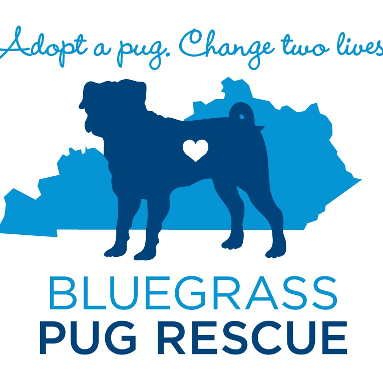 Bluegrass Pug Rescue Inc