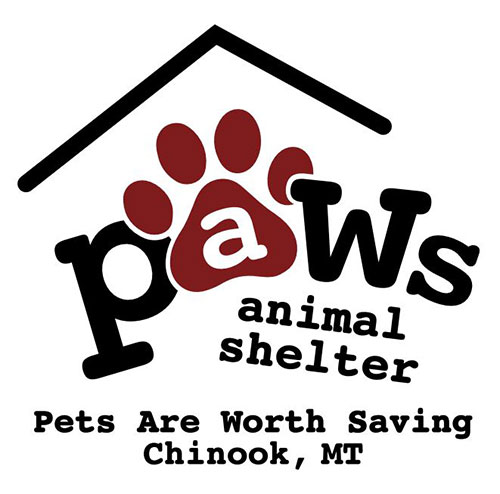 Paws Of Chinook