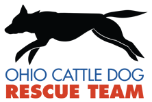 Ohio Cattle Dog Rescue Team