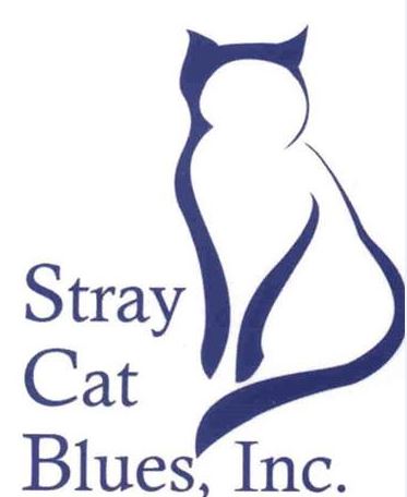 Stray Cat Blues
