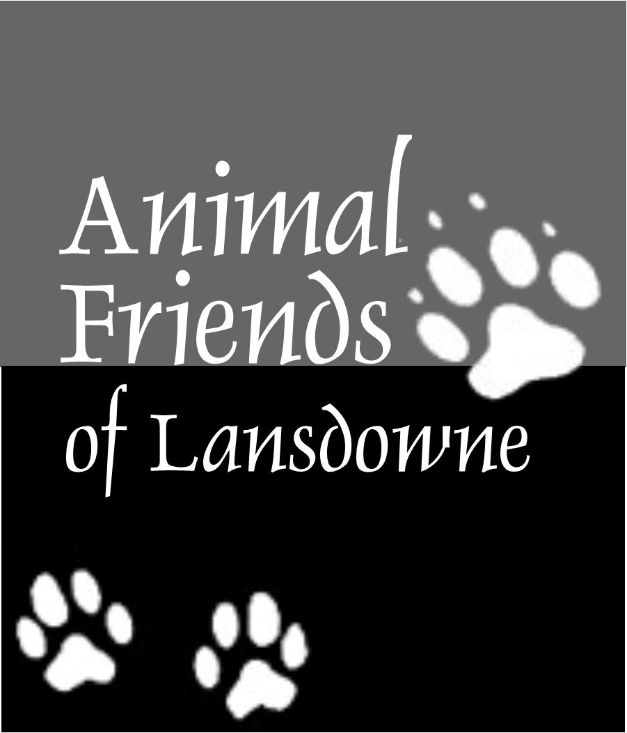 Animal Friends Of Lansdowne